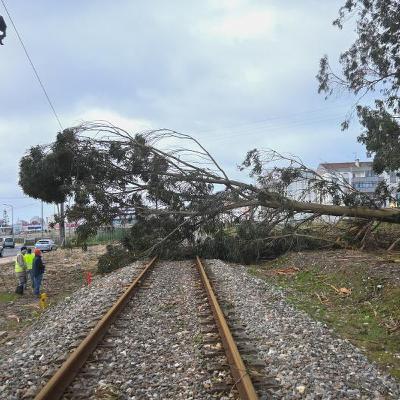 Depois da tempestade, a CP falhou com os portugueses?