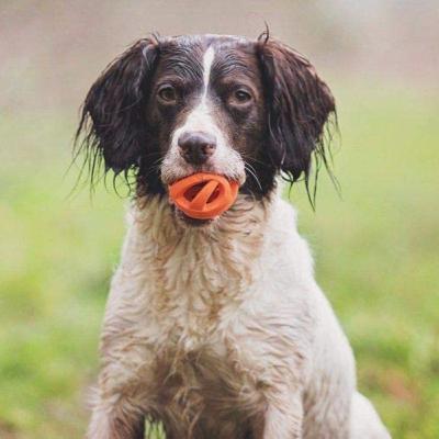 Chuckit! Breathe Right Fetch 2 Ball Set, Small