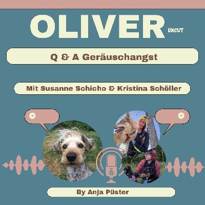 Q&A Geräuschangst
