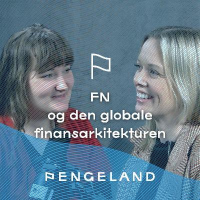 FN og den globale finansarkitekturen