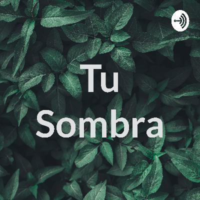 Las decisiones