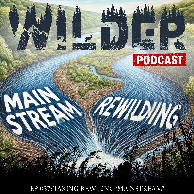 Ep. 037: Taking Rewilding Mainstream with Alister Scott of the Global Rewilding Alliance