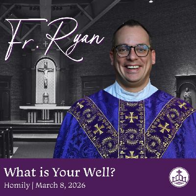 638. Fr. Ryan Homily - What is Your Well?