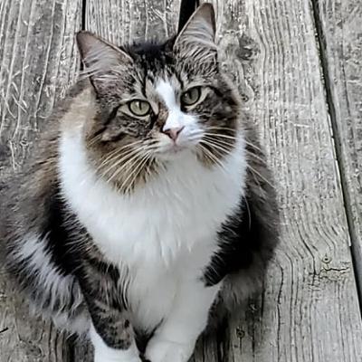Phoebe-be-be-be