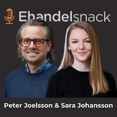 Webbhallens Strategi: Därför Har Vi 10+ Betalsätt | Peter Joelsson, CIO på Webbhallen & Sara Johansson, Briqpay Webbhallens Strategi: Därför Har Vi 10+ Betalsätt | Peter Joelsson, CIO på Webbhallen & Sara Johansson, Briqpay