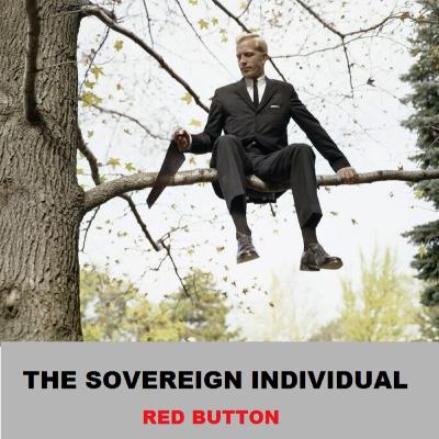 episode 156 – DO SOMETHING OR OTHER #02 - The Sovereign Individual