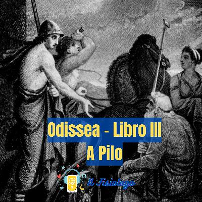 55 - Odissea - Libro III - A Pilo
