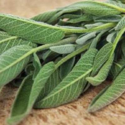 فوائد المرامية فوائد المرامية