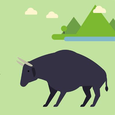 Become an Early Bird Investor as the new tax year begins Become an Early Bird Investor as the new tax year begins