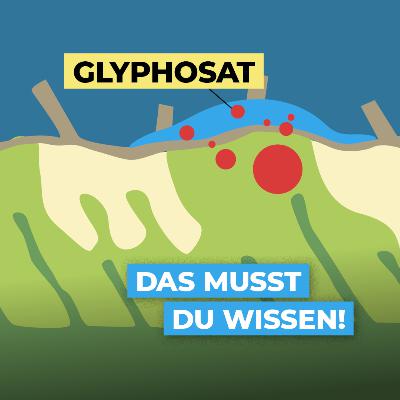 Glyphosat zur Abtötung der Zwischenfrucht: Was ist zu beachten? Glyphosat zur Abtötung der Zwischenfrucht: Was ist zu beachten?
