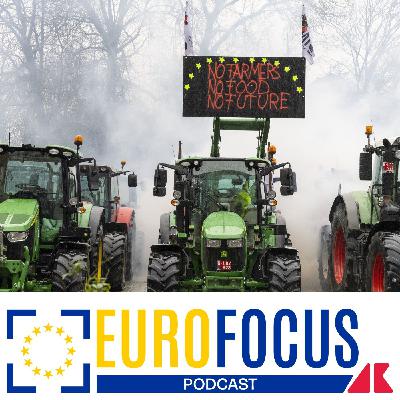 Bilancio Ue, agricoltori pronti a risalire sui trattori