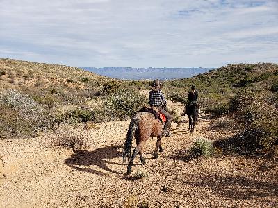 Southern Arizona Trail Riding