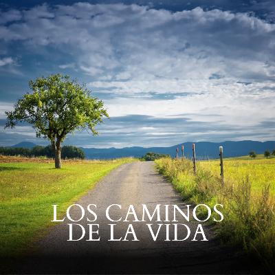 Los caminos de la vida