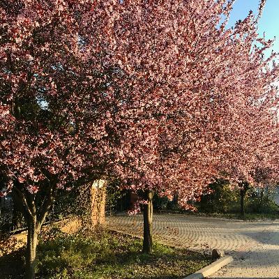 Summer 2020 Forever Mix pt.1 - Levente - 1 Hour Summer 2020 Forever Mix pt.1 - Levente - 1 Hour