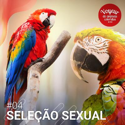 Seleção Sexual