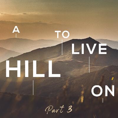 a Hill to Live on - Part 3 - Werner Serfontein - 30 October 2022