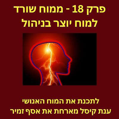 פרק 18 - ממוח שורד למוח יוצר בניהול
