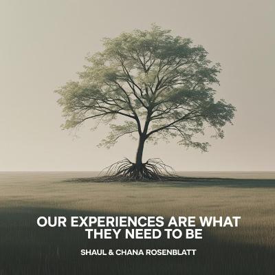 Our Experiences Are What They Need To Be