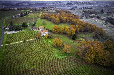 400+ Years Without Chemicals - Chateau Le Puy 400+ Years Without Chemicals - Chateau Le Puy