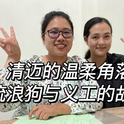 21集-泰国清迈的温柔角落,流浪狗和义工的故事 21集-泰国清迈的温柔角落,流浪狗和义工的故事