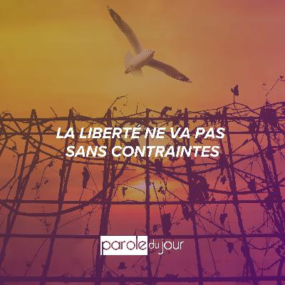 Une relation régie par des règles