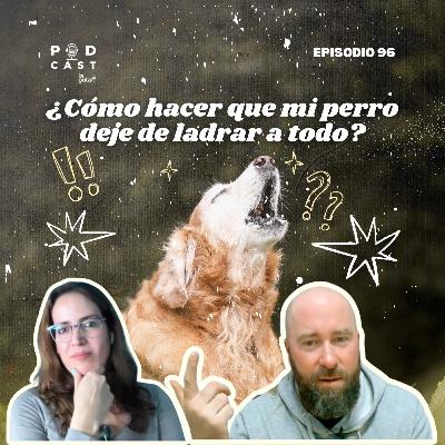 ¿Cómo puedo hacer para que mi perro deje de ladrar a todo? - Podcast La Pata, episodio 96 ¿Cómo puedo hacer para que mi perro deje de ladrar a todo? - Podcast La Pata, episodio 96