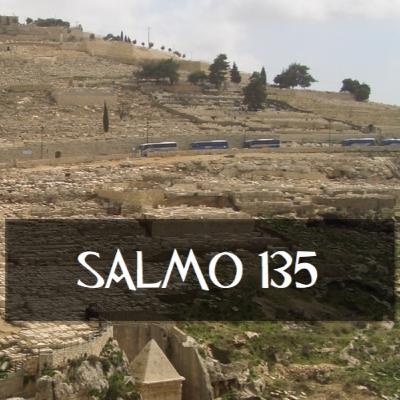 Salmo 135 Biblia (NTV) Nueva Traducción Viviente Audio Biblia