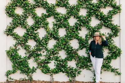 Ep. 166 WHY Homeschool? - FREE eBook Ep. 166 WHY Homeschool? - FREE eBook