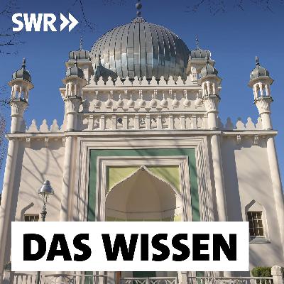 Wie sich Moscheen finanzieren – Privatspenden, Auslandsgelder, Influencer Wie sich Moscheen finanzieren – Privatspenden, Auslandsgelder, Influencer