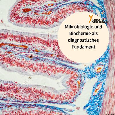 Mikrobiologie und Biochemie als diagnostisches Fundament