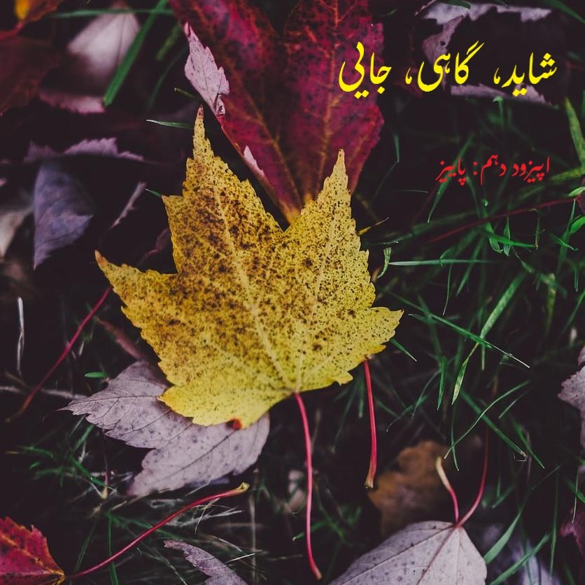 پاییز