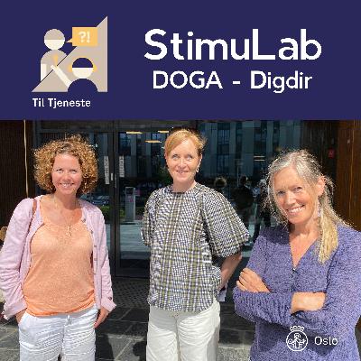 Stimulab - en ordning som stimulerer til offentlig innovasjon fra brukernes perspektiv