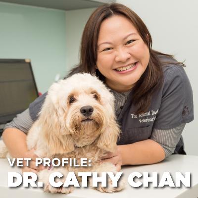 Vet Profile: Dr. Cathy Chan, The Animal Doctors Vet Profile: Dr. Cathy Chan, The Animal Doctors