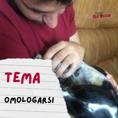 Tema | Omologarsi