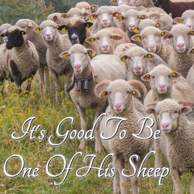 It's Good To Be One Of His Sheep 10.22.23