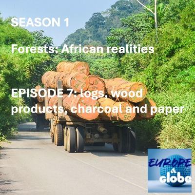 Forests: African realities - Episode 7: logs, wood products, charcoal and pulp & paper
