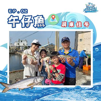 出發吧!鱻魚練習生|第二個試煉|學習技能【自律】- 午仔魚 出發吧!鱻魚練習生|第二個試煉|學習技能【自律】- 午仔魚