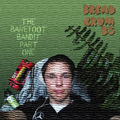 The Barefoot Bandit : Part One The Barefoot Bandit : Part One