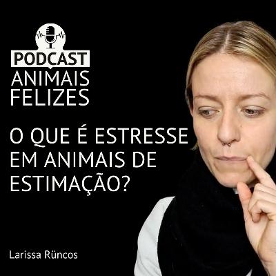 ESTRESSE EMOCIONAL EM GATOS E CÃES - QUANDO ACONTECE E COMO PREVENIR