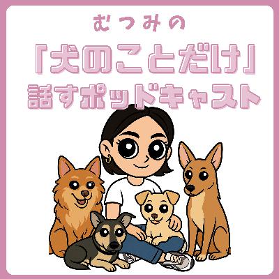 #03 中型犬は肩身が狭い？LAと日本で感じる、こだわるドッグママの苦労と「10キロの壁」