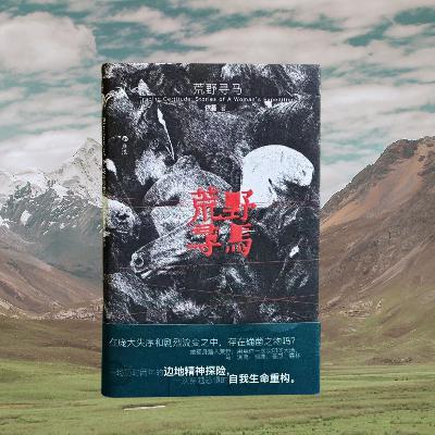 138荒野寻马 | 35岁，她辞职去真正的荒野过游牧生活