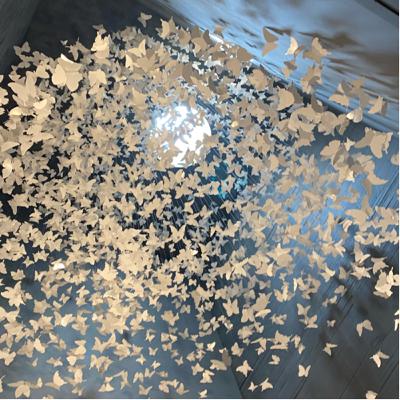 Ley federal de radio y televisión