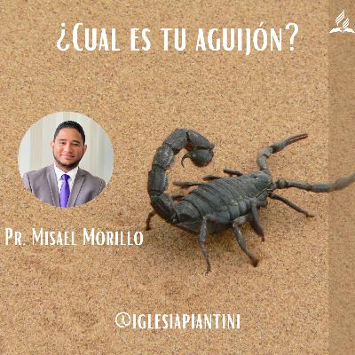 ¿Cual es tu aguijón?-Pr. Misael Morillo