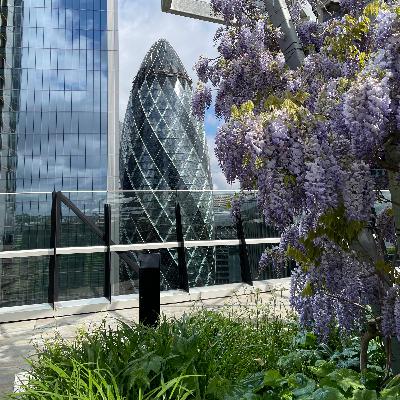 54.Sfida tra giganti: quattro luoghi per guardare Londra dall’alto 54.Sfida tra giganti: quattro luoghi per guardare Londra dall’alto