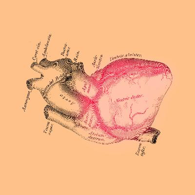 Мария Фаликман. Несовершенный компьютер Мария Фаликман. Несовершенный компьютер