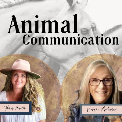 Animal Communication with Karen Anderson