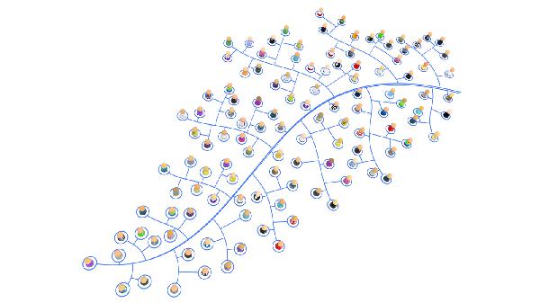 Networks Networks