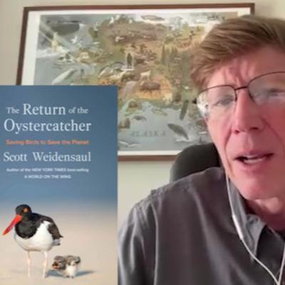The Return of the Oystercatcher: Saving Birds to Save the Planet -author