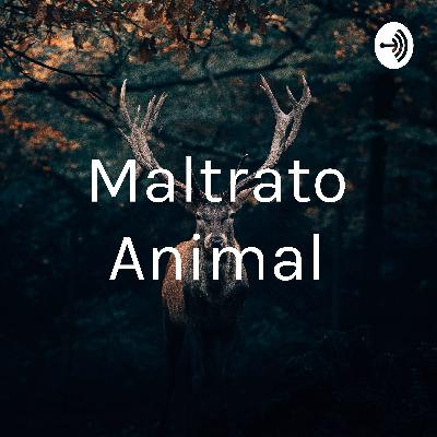 Maltrato Animal