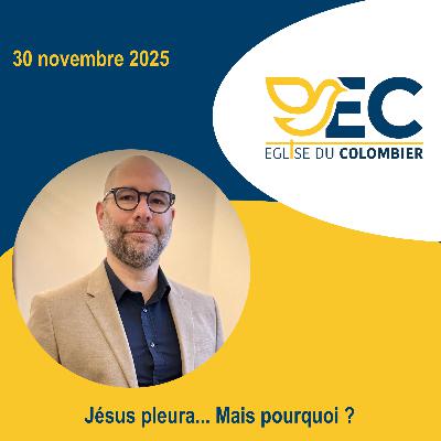 Jésus pleura... Mais pourquoi ? Julien Marié